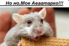 BESTия